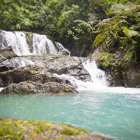 Naguala Jungle Lodge Drake Bay ภายนอก รูปภาพ