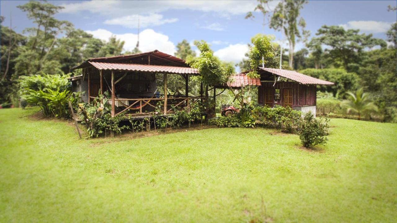 Naguala Jungle Lodge Drake Bay ภายนอก รูปภาพ