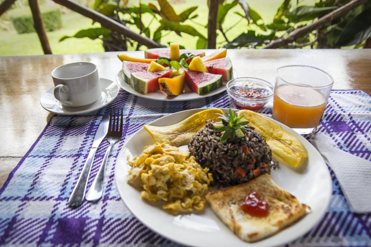 Naguala Jungle Lodge Drake Bay ภายนอก รูปภาพ