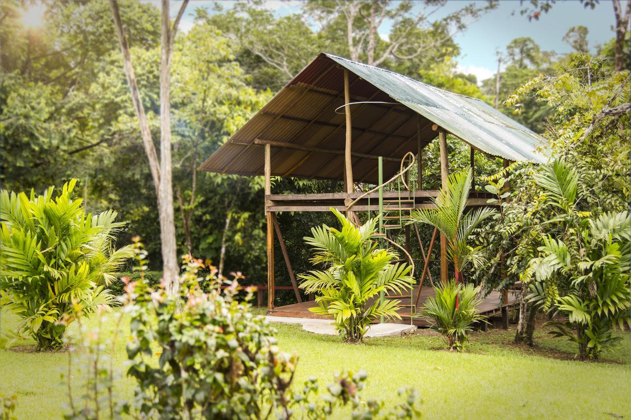 Naguala Jungle Lodge Drake Bay ภายนอก รูปภาพ