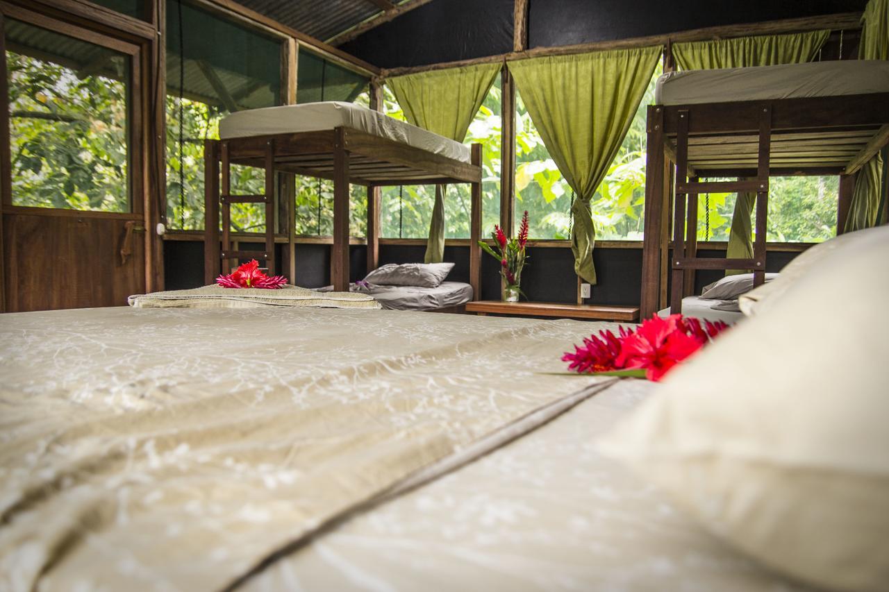 Naguala Jungle Lodge Drake Bay ภายนอก รูปภาพ