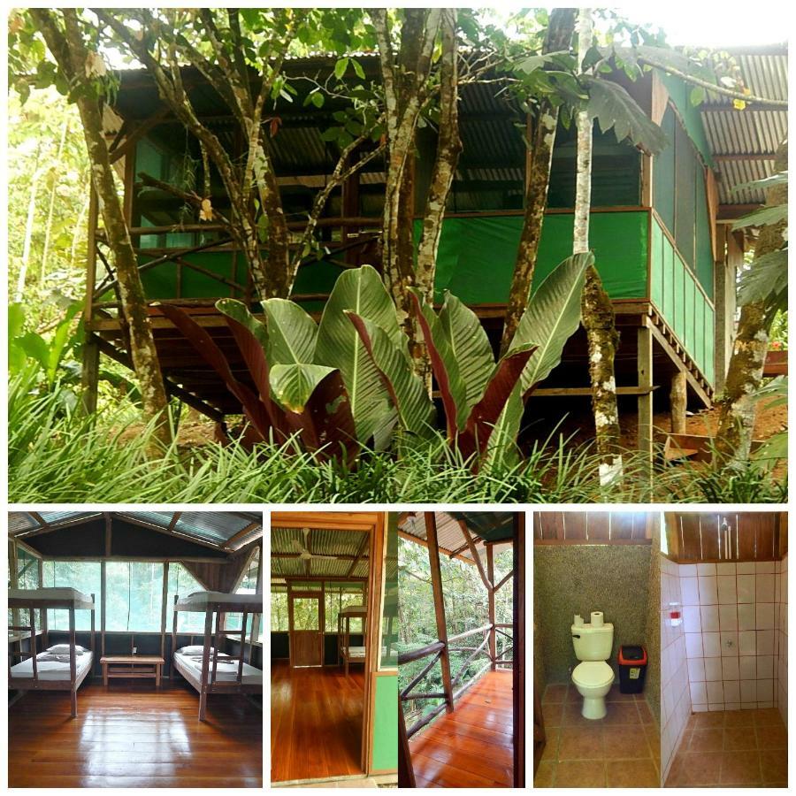Naguala Jungle Lodge Drake Bay ภายนอก รูปภาพ